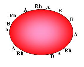 Untitled Document [www.raosyth.com]